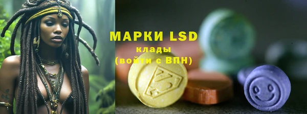 стаф Арсеньев