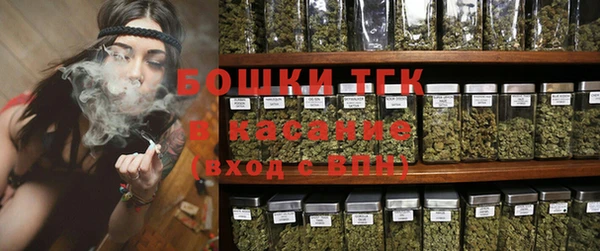 стаф Арсеньев