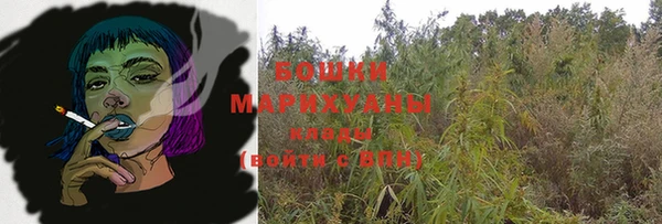 стаф Арсеньев